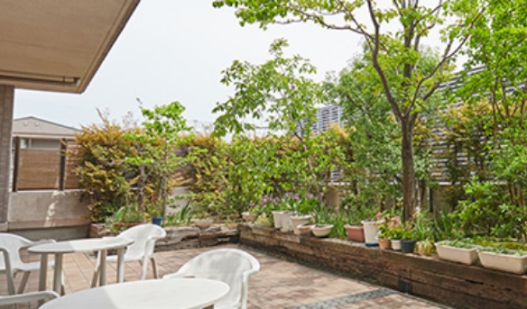 自然に親しんでいます。